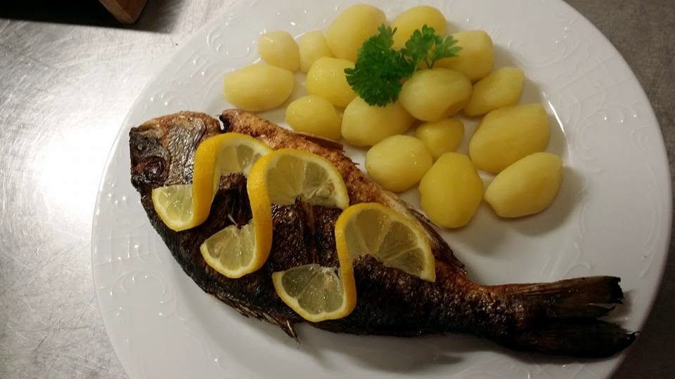 Dorade